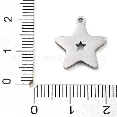 Ciondoli in acciaio inox 304&nbsp;STAS-M076-08P-1
