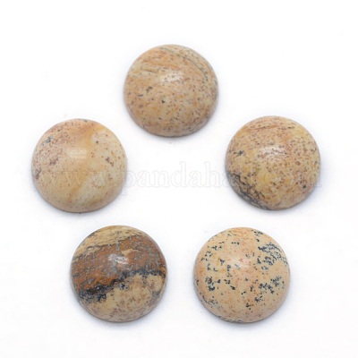 Natur Bildjaspisses cabochons&nbsp;G-P393-R51-12MM-1