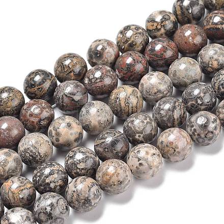 Chapelets de perles de jaspe en peau de léopard naturel G-R474-004-1