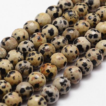 Chapelets de perles en jaspe dalmatien naturelle G-D840-49-8mm-1