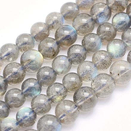 Natural Labradorite Beads Strands G-O166-08-6mm-1