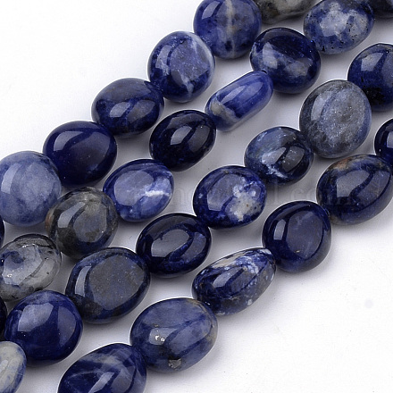 Chapelets de perles en sodalite naturelle G-Q952-03-8x10-1