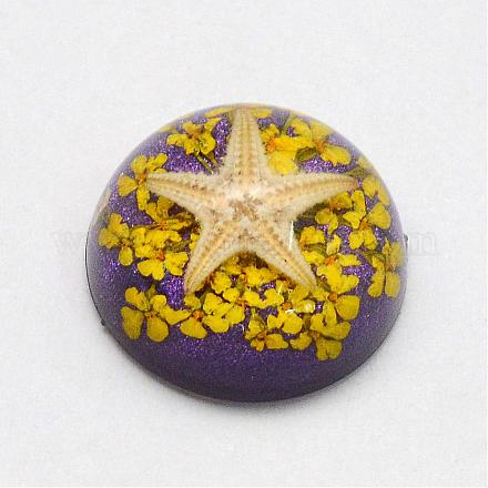 Resin Cabochons RESI-S320-20mm-50-1