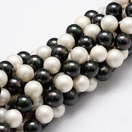Fili di perle di conchiglia lucidate BSHE-F013-07C-1