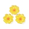 Flower Series Resin Cabochons, Galsang Flower, Champagne Yellow, 26x7mm