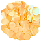 PVC Sequin Pendants, Blank Flat Round, Orange, 19x0.3mm, Hole: 1.5mm, about 3460pcs/450g