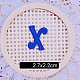 コンピューター化された刺繡布自己粘着パッチ  パッチにこだわる  マスクと衣装のアクセサリー  文字  ブルー  x：27x17mm FIND-TAC0002-02X-1