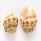 Perles de coquillages en spirale SSHEL-N033-05A-2