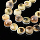 Brins de perles de coquille de trompette naturelle SSHEL-N034-113-3