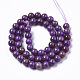 Natural Lepidolite/Purple Mica Stone Beads Strands G-R465-27C-2