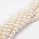 Cuentas perlas de concha de perla X-BSHE-L026-03-8mm-1