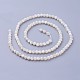 Chapelets de perles de coquillage G-F619-27-3mm-2