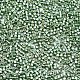 Perline di semi di vetro di grado 11/0 SEED-S030-1217-2
