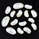 Natural Conch Shell Cabochons SSHEL-N034-91-1