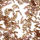 Mgb松野ガラスビーズ  日本製シードビーズ  透明な色のレインボーツイストバブルビーズ  ガラス丸穴のシードビーズ  ペルー  6x2~2.3mm  穴：0.8mm  約488個/20g X-SEED-Q032-6mm-24RSP-2