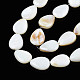 Shell normal de perles blanches de brins PBB263Y-1-5