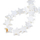 Eau douce naturelle de coquillage perles brins SHEL-S278-01D-01-4