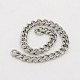 304 Stainless Steel Twisted Chains CHS-K001-20B-2