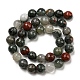 Natural Afican Bloodstone Beads Strands G-C079-B02-02-3