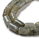 Natural Labradorite Beads Strands G-M420-E01-03-4