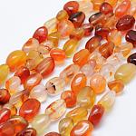 Chapelets de perles en cornaline naturelle, pierre roulée, pépites, 8~15x5~10mm, Trou: 1mm, 15.3 pouce ~ 15.7 pouces (39~40 cm)