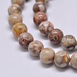 Hebras de perlas medicinales naturales, redondo, colorido, 8mm, agujero: 1 mm, aproximamente 48 pcs / cadena, 15.1 pulgada