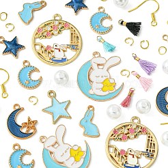DIY-Sets zum Herstellen von Quastenohrringen aus Emaille-Legierung&nbsp;DIY-FS0001-21B
