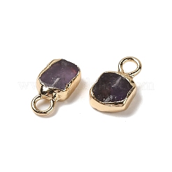 Natürliche Amethyst Rechteck Charms&nbsp;G-Q169-07G-09