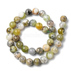 Naturali verde opale perle fili&nbsp;G-C029-02B