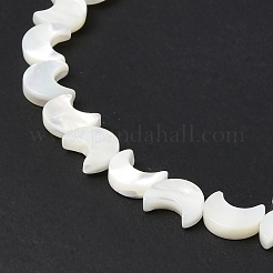 Fili di perle di conchiglia trochid naturale / trochus&nbsp;SSHEL-N032-25A