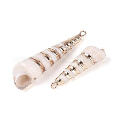 Galvanische natürliche Spiralschalenanhänger&nbsp;SSHEL-T018-07