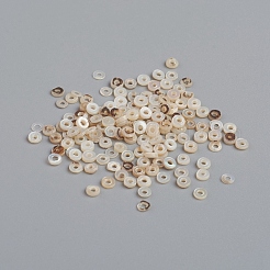 Perline di guscio&nbsp;BSHE-G026-04B-3mm