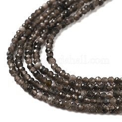 Natürliche silberglänzende Obsidian-Perlenstränge&nbsp;LS-G-E608-A02-A