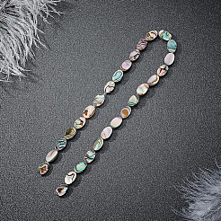 Natürliche Abalone-Muschel / Paua-Muschelperlen&nbsp;SSHEL-BC0001-08