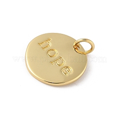 Messing Anhänger & Charms&nbsp;KK-L245-31G