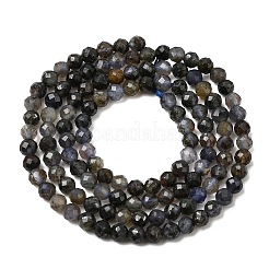 Naturperlen Stränge iolite&nbsp;G-G343-B01-3mm