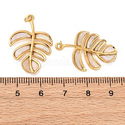 304 Edelstahl Pavé-Anhänger aus natürlichen Muscheln&nbsp;STAS-U061-18G-01