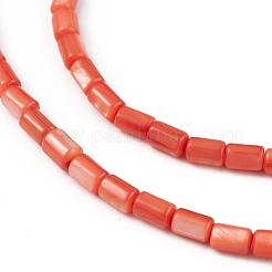 Brins de perles d'eau douce naturelles teints en coquille&nbsp;SHEL-M018-12-02