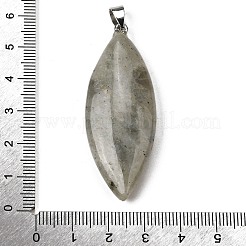 Natur Labradorit große Anhänger&nbsp;G-F820-06A