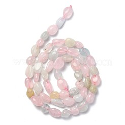Naturperlen Stränge morganite&nbsp;G-L550A-08
