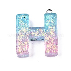 Colgantes de resina epoxi transparente&nbsp;LS-CRES-S364-002H