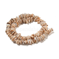 Hebras de cuentas de concha de concha natural&nbsp;SSHEL-H072-06