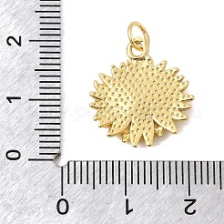 Messing Anhänger & Charms&nbsp;KK-A296-45A-G