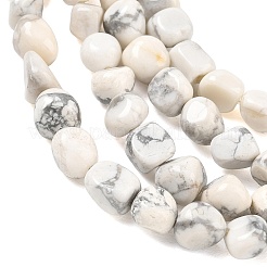 Fili di perline howlite naturale&nbsp;GG-CBA9392-10