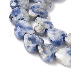 Natürliche blaue Fleck Jaspis Perlen Stränge&nbsp;G-D316-B10