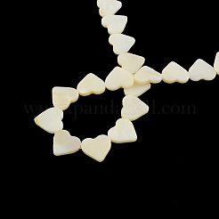 Fili di perle di conchiglia di cuore naturale&nbsp;X-SSHEL-F290-06