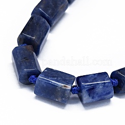 Perline sodalite naturale fili&nbsp;G-O170-101