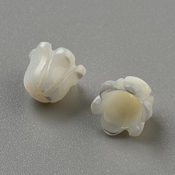 Perline intagliate di conchiglia naturale&nbsp;LS-SHEL-WH0001-021A