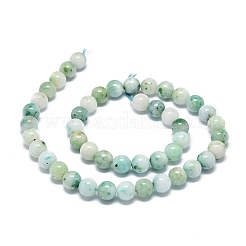Classificare un filo di perle di diaspro di sesamo naturale&nbsp;G-O201A-08B