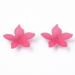 Perles en acrylique transparente&nbsp;X-MACR-S373-127-D